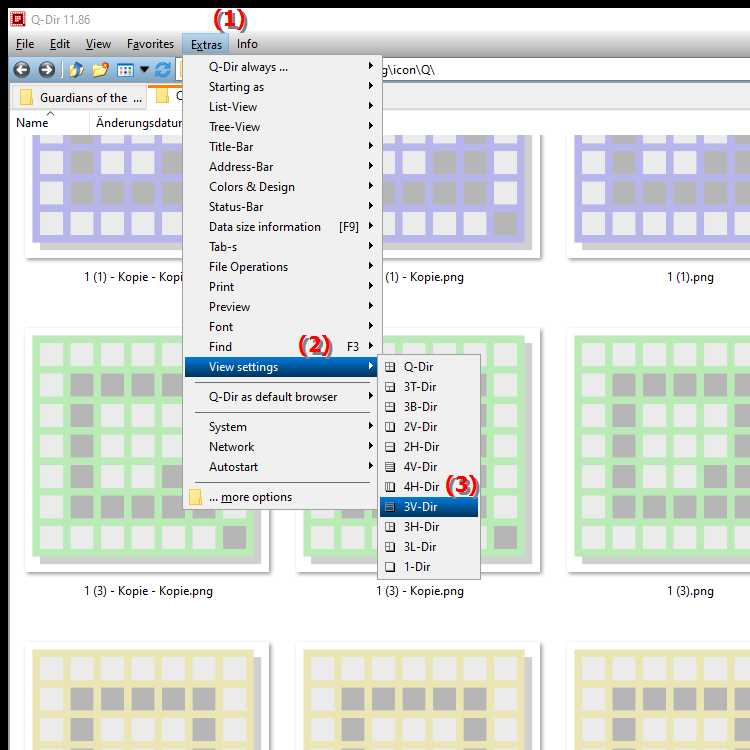 What does the 3V Dir view offer in the quad file explorer Q Dir